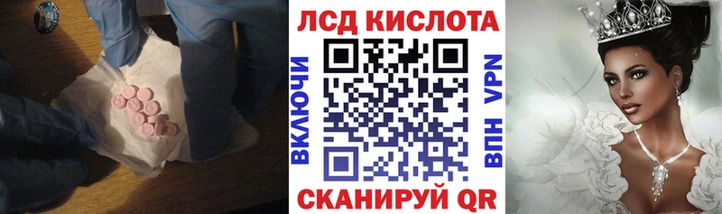 хочу наркоту  Пошехонье  Лсд 25 экстази кислота 