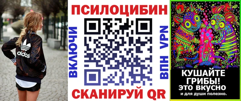 Галлюциногенные грибы ЛСД  Пошехонье 